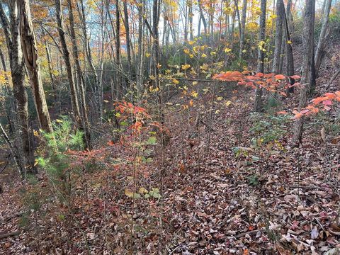 Photo of Lot 7 Deer Ridge Rd, Bryson City, NC 28713 (MLS # 26042655)