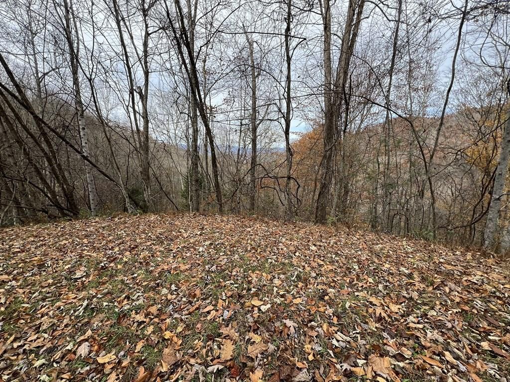 Photo of Lot 7 Deer Ridge Rd, Bryson City, NC 28713 (MLS # 26042655)