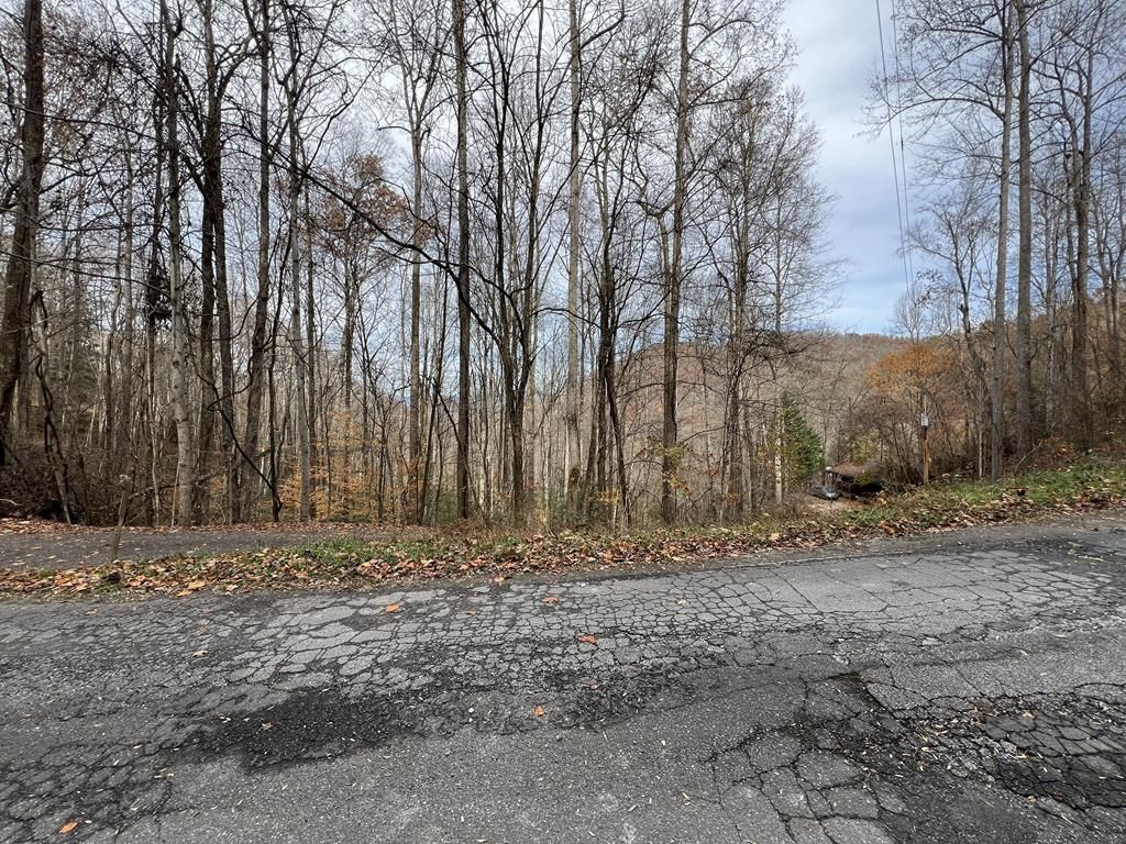Photo of Lot 7 Deer Ridge Rd, Bryson City, NC 28713 (MLS # 26042655)