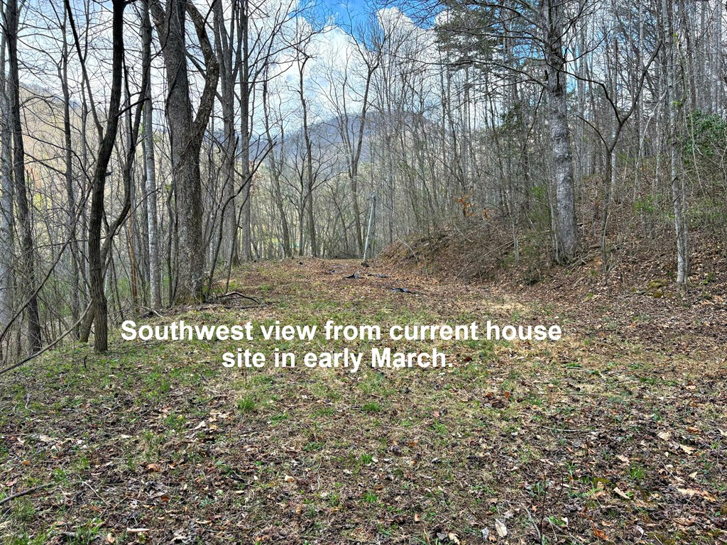 664 Moses Creek Rd.