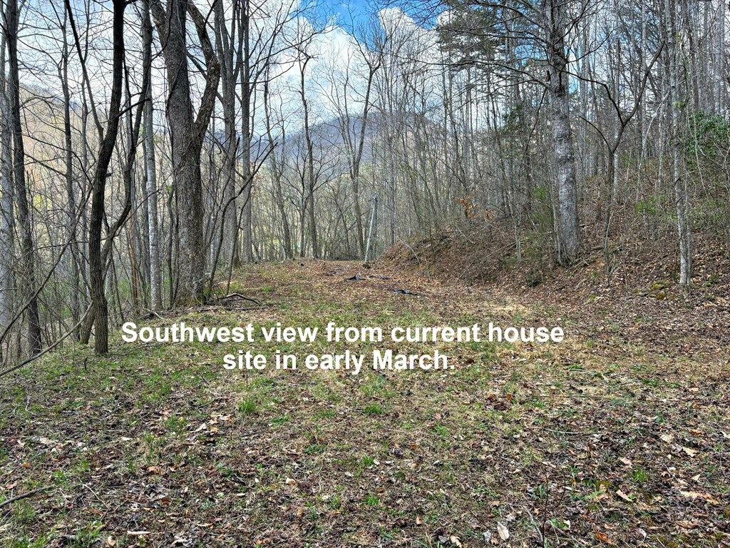 Photo of 664 Moses Creek Rd, Cullowhee, NC 28723 (MLS # 26047302)