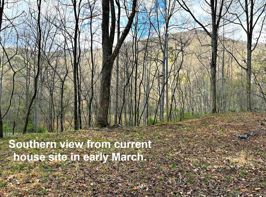 Photo of 664 Moses Creek Rd, Cullowhee, NC 28723 (MLS # 26047302)