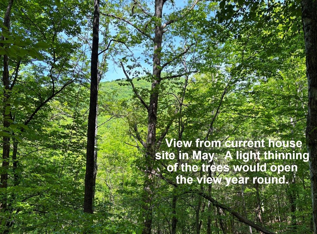Photo of 664 Moses Creek Rd, Cullowhee, NC 28723 (MLS # 26047302)