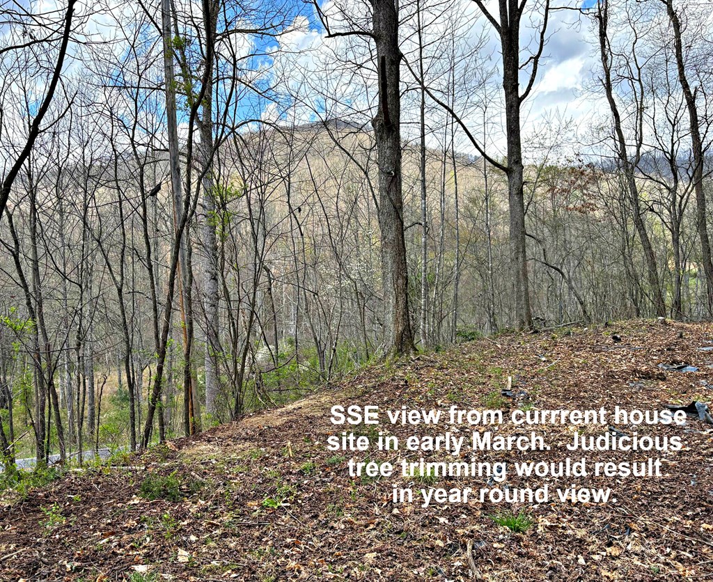664 Moses Creek Rd.