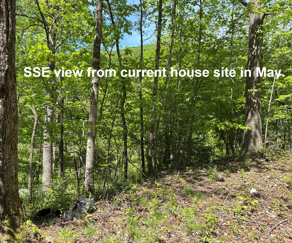 664 Moses Creek Rd.