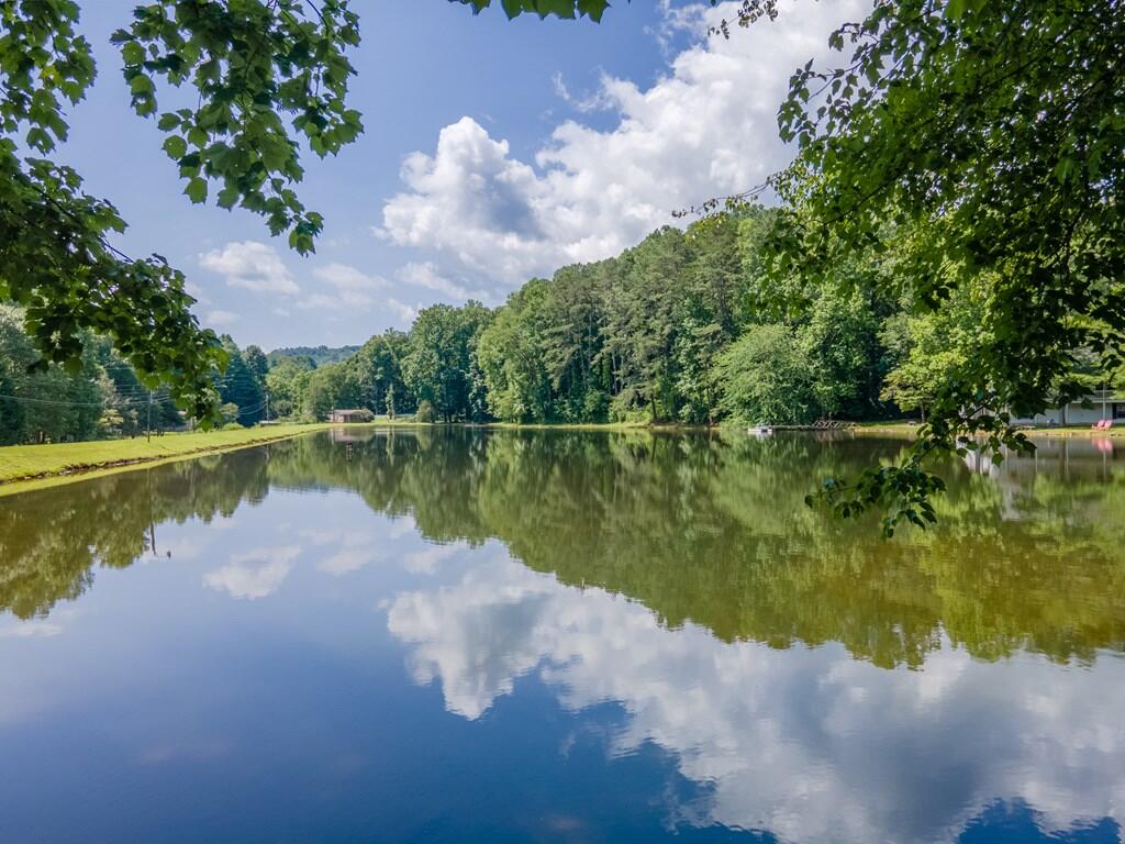 275 Coweeta Lake Circle