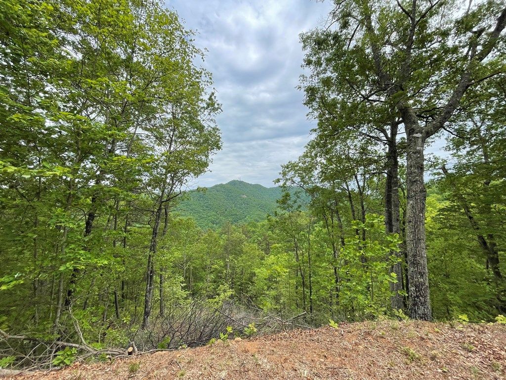 Photo of Lot 9 Butternut Ridge, Bryson City, NC 28713 (MLS # 26041403)