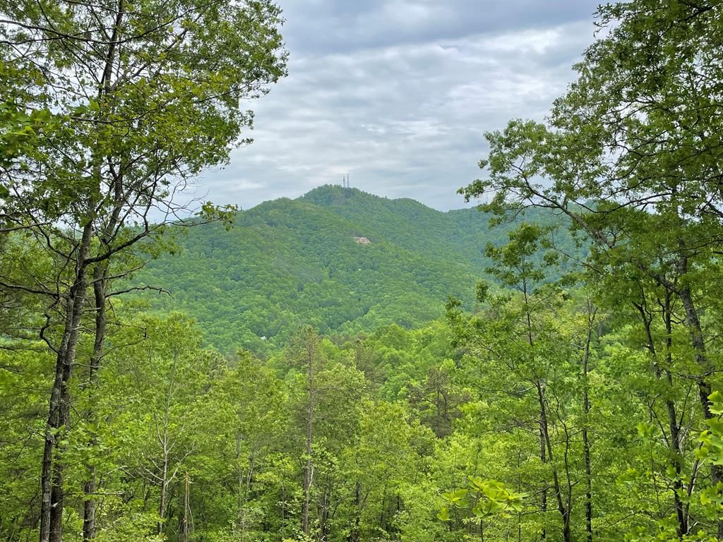 Photo of Lot 9 Butternut Ridge, Bryson City, NC 28713 (MLS # 26041403)