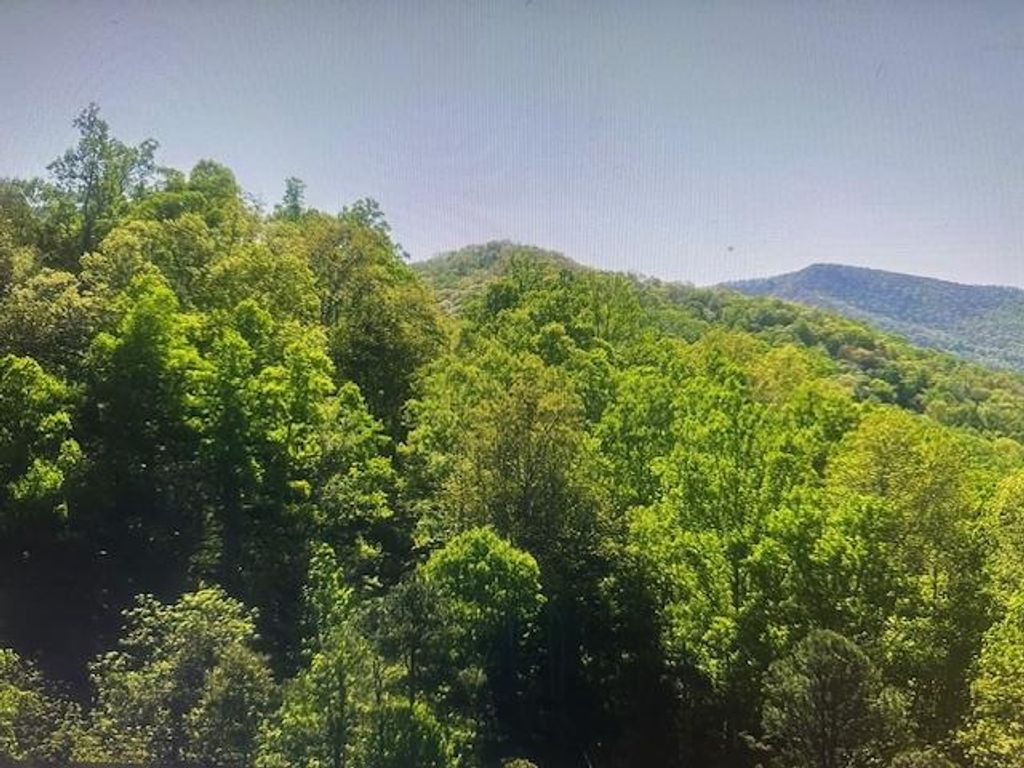 Photo of 0 Crackin Chestnut Ln, Sylva, NC 28779 (MLS # 26047044)