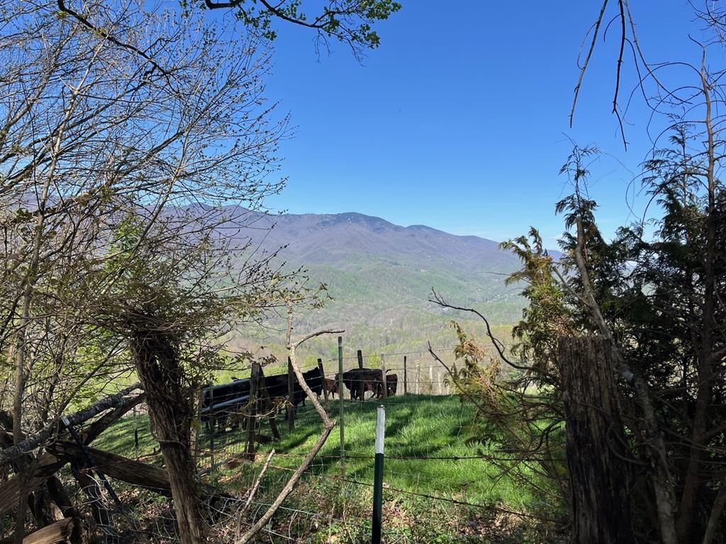 Photo of 0 Crackin Chestnut Ln, Sylva, NC 28779 (MLS # 26047044)