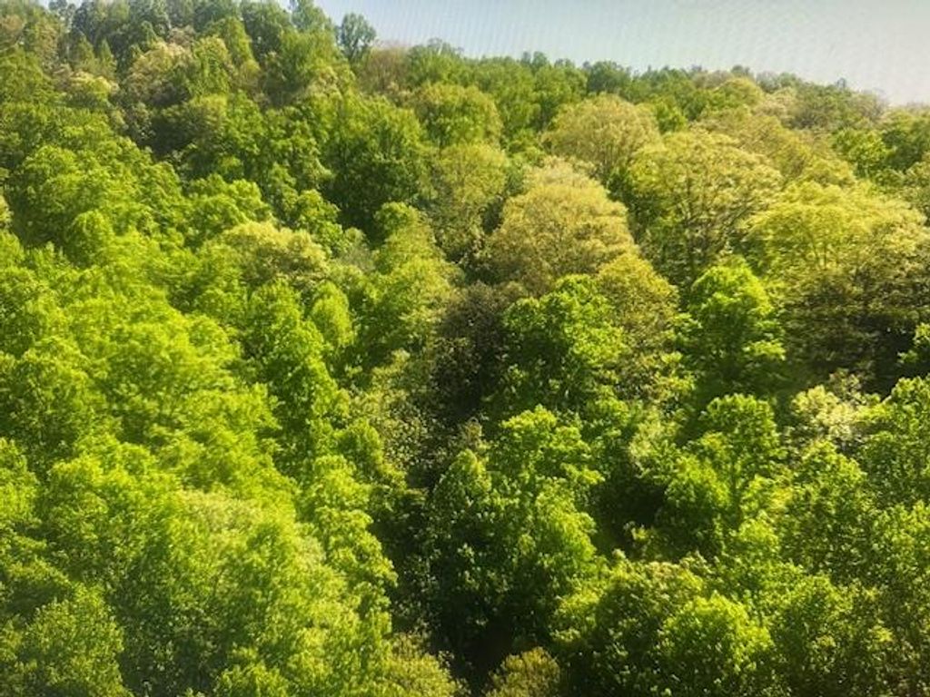 Photo of 0 Crackin Chestnut Ln, Sylva, NC 28779 (MLS # 26047044)
