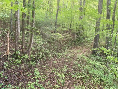 Photo of TBD Charles Sondheimer Road, Franklin, NC 28734 (MLS # 26047064)