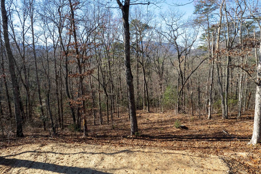 Lot 3 Osprey Mountain Way