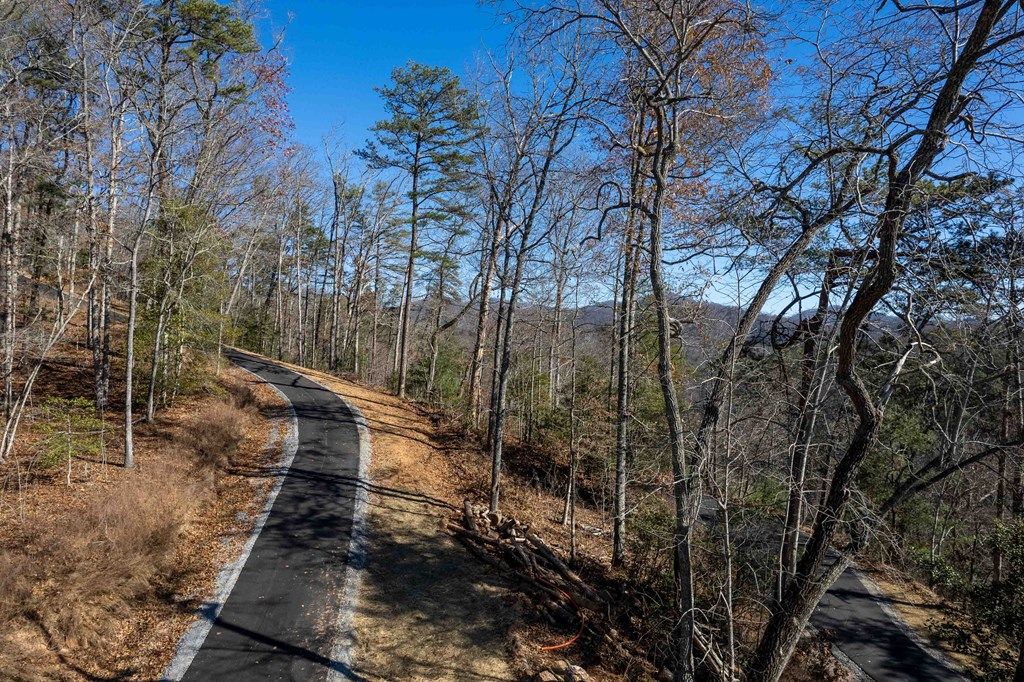 Photo of Lot 3 Osprey Mountain Way, Sylva, NC 28779 (MLS # 26046794)