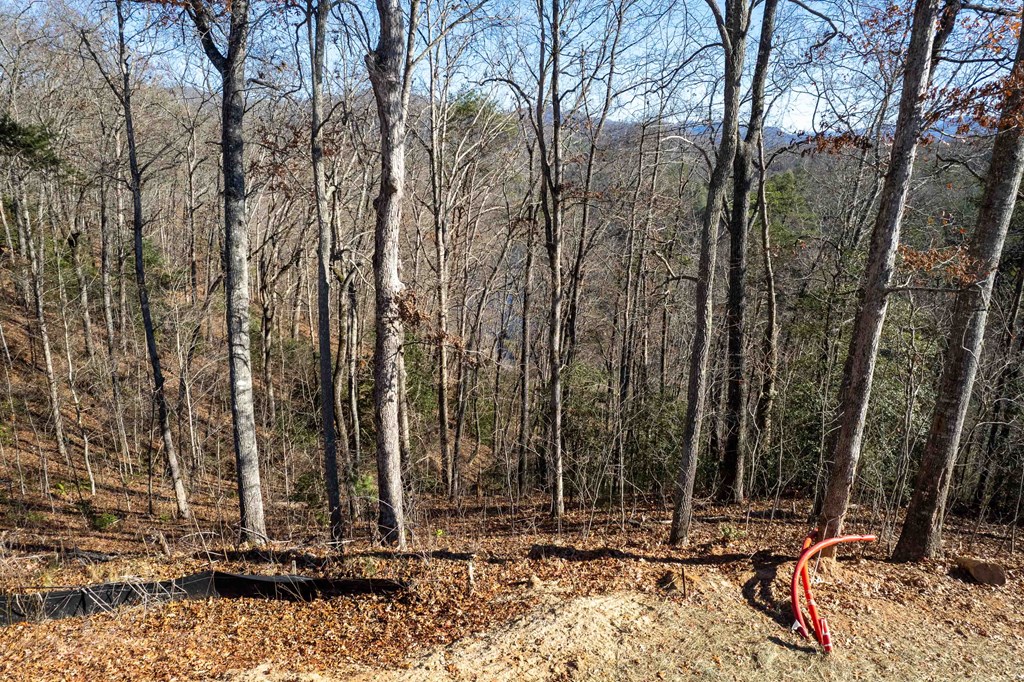 Lot 3 Osprey Mountain Way