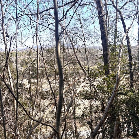 Photo of 2&3 Stekoih Hills, Whittier, NC 28789 (MLS # 26045273)