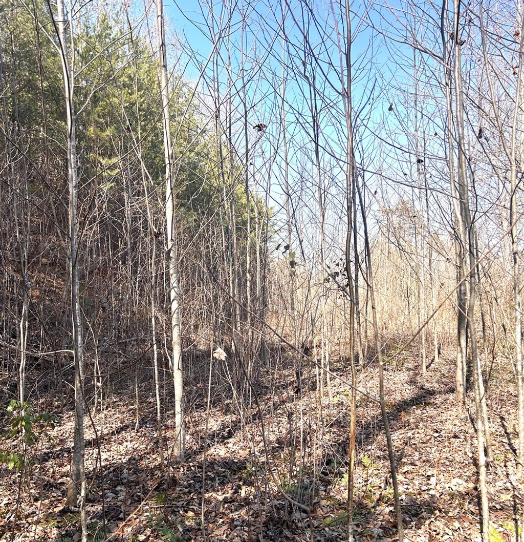 Photo of 2&amp;3 Stekoih Hills, Whittier, NC 28789 (MLS # 26045273)