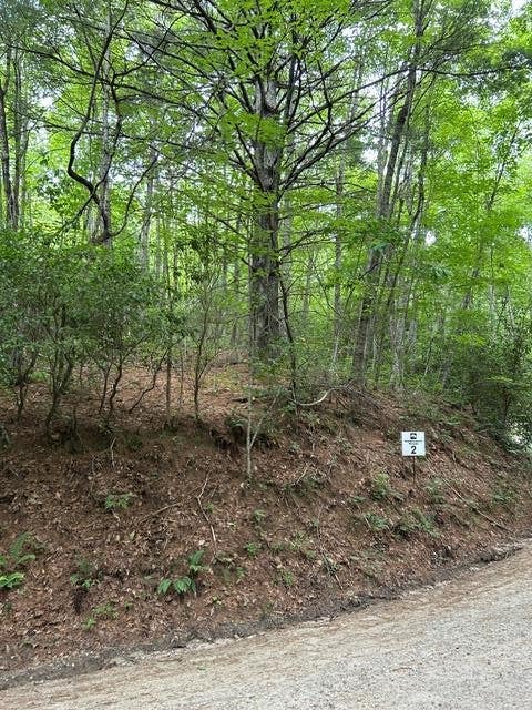 Photo of 0 Tract 2 Coman Rd, Franklin, NC 28734 (MLS # 26048085)