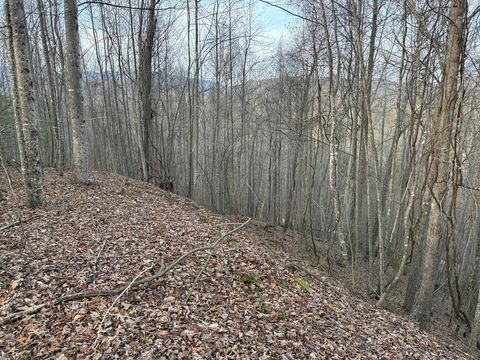 Photo of Lot 13 Hidden Lakes, Topton, NC 28781 (MLS # 26045294)