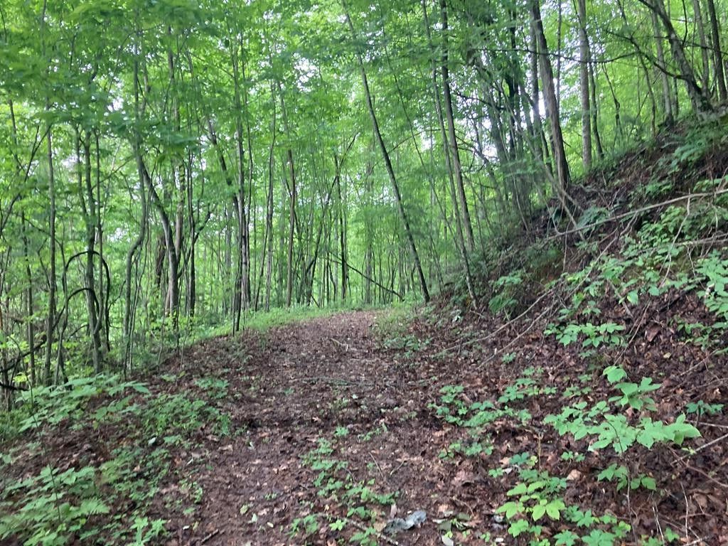 Photo of 695 Everet Jenkins Rd Stecoah Rd, Stecoah, NC 28771 (MLS # 26041166)