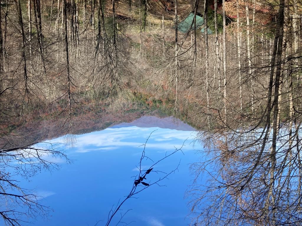 Photo of 695 Everet Jenkins Rd Stecoah Rd, Stecoah, NC 28771 (MLS # 26041166)