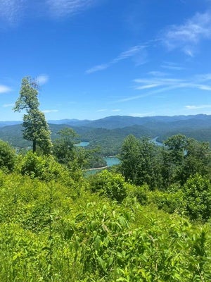 LOT 82 FONTANA TRACE DRIVE, ALMOND, NC 28702 - Image 48e8db7c80ffa010fb65a025ecfadb4c/1000344629