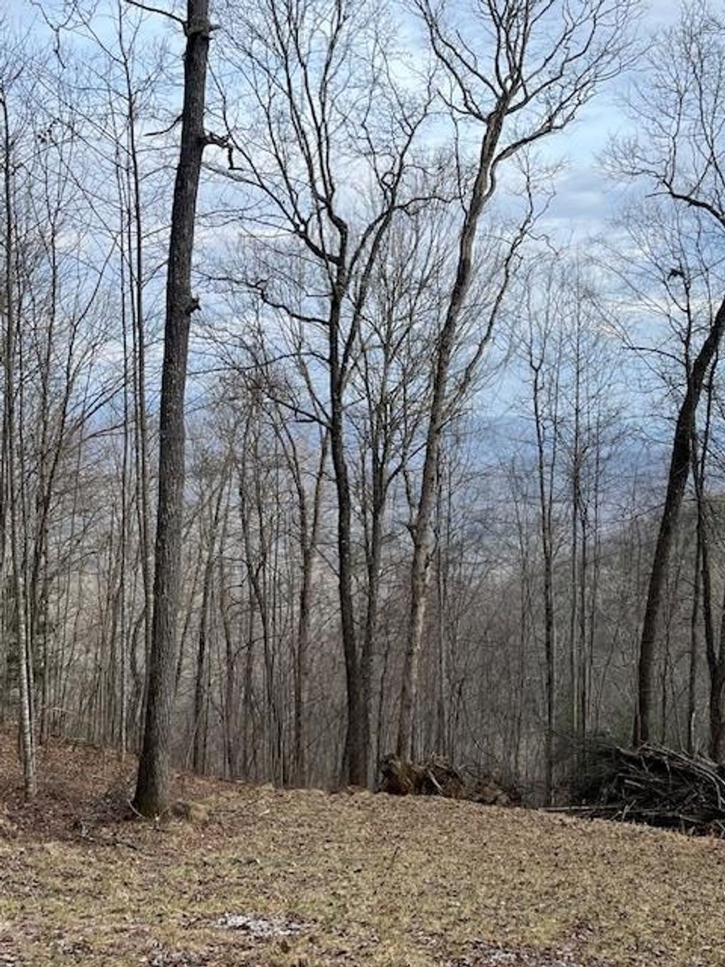 Photo of Lot 82 Fontana Trace Drive, Almond, NC 28702 (MLS # 26021096)