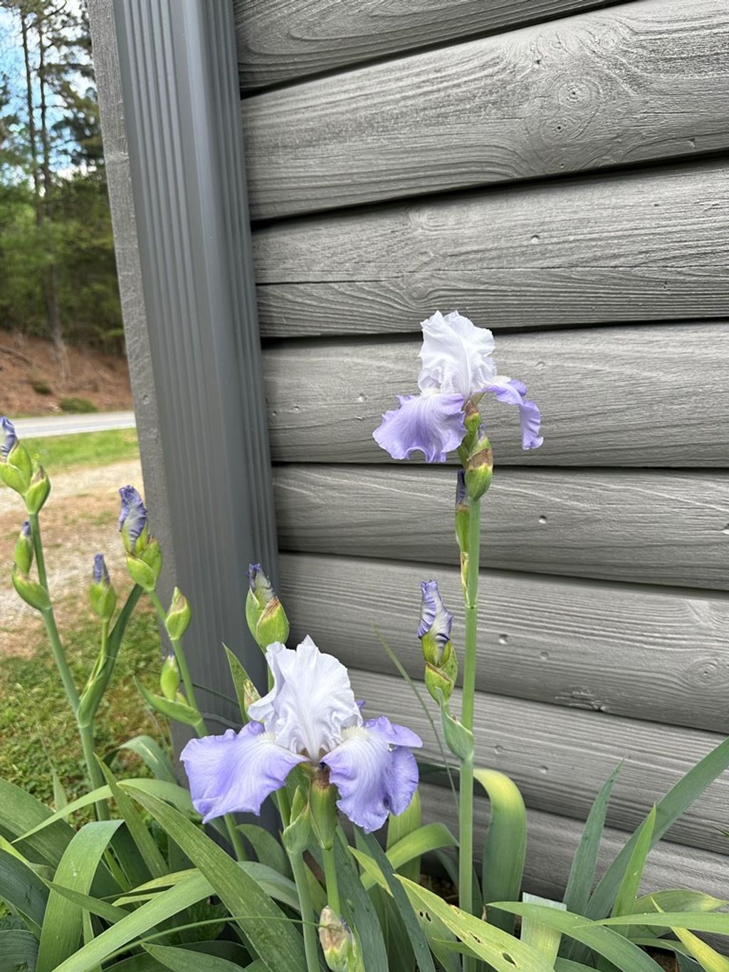 Photo of 321 Hwy 28 South, Bryson City, NC 28713 (MLS # 26046991)