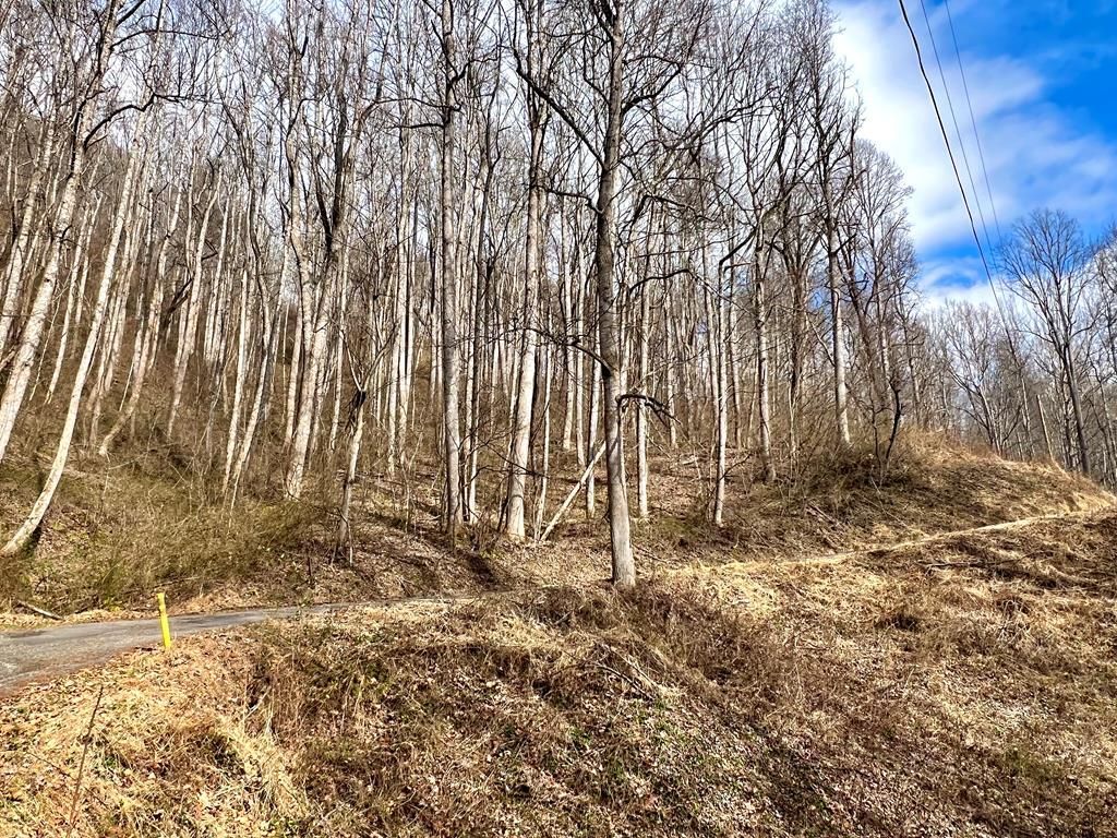 Photo of 13 Oleander Lane, Sylva, NC 28779 (MLS # 26045432)