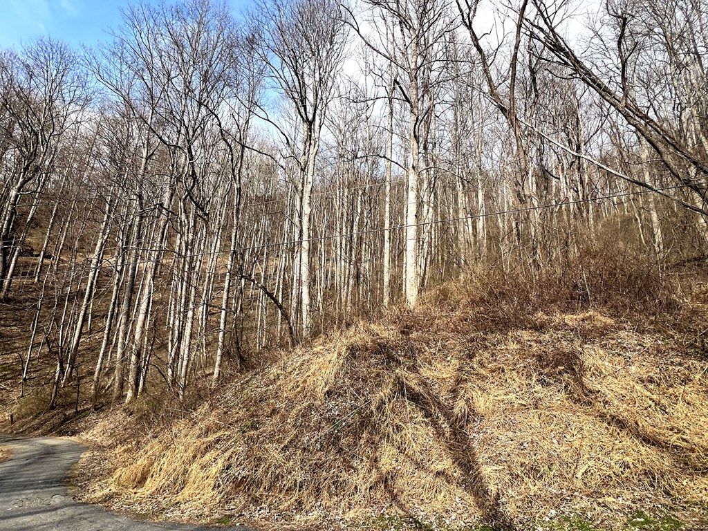 Photo of 13 Oleander Lane, Sylva, NC 28779 (MLS # 26045432)