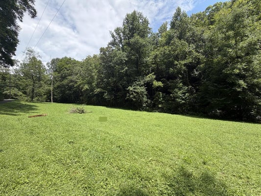 LOCUST COVE RD, ROBBINSVILLE, NC 28771 - Image 49f04c5ddda686c90ccb3fbb0c2d5e0a/1275324276