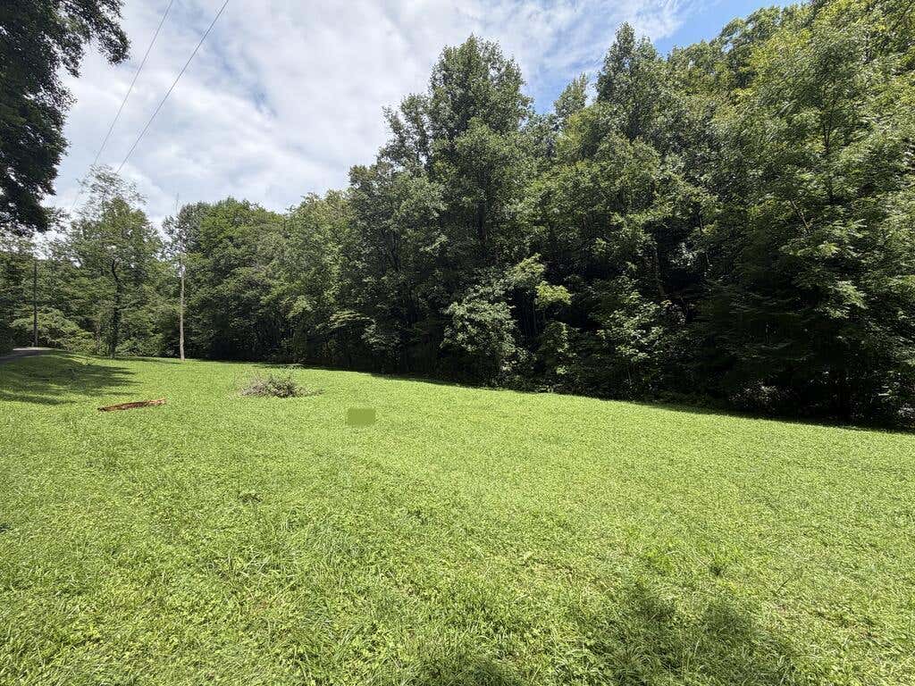 Photo of 0 Locust Cove Rd, Robbinsville, NC 28771 (MLS # 26048153)