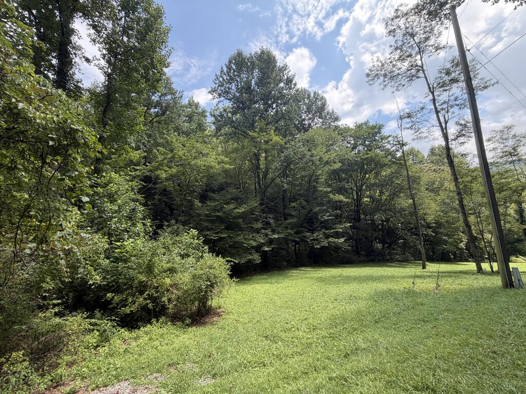 0 Locust Cove Rd.