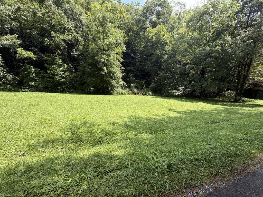 0 Locust Cove Rd.