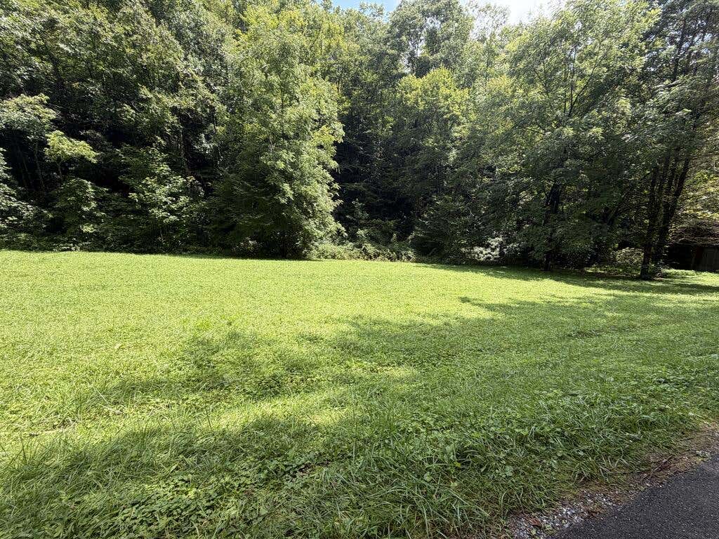 Photo of 0 Locust Cove Rd, Robbinsville, NC 28771 (MLS # 26048153)