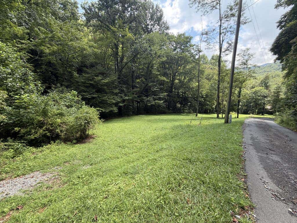 Photo of 0 Locust Cove Rd, Robbinsville, NC 28771 (MLS # 26048153)