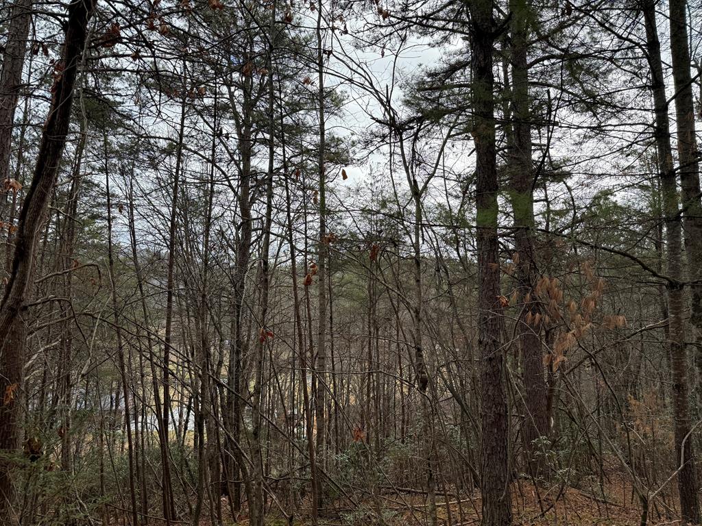 Lot 27 Ideal Acres
