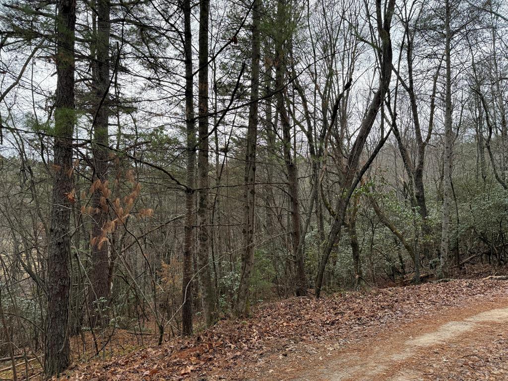 Lot 27 Ideal Acres