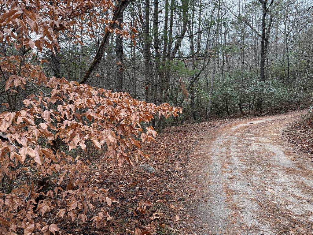 Lot 27 Ideal Acres