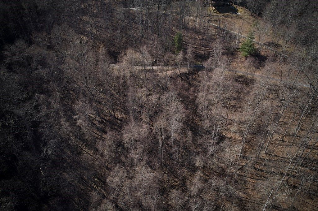 Photo of Lot 6A Freeman Overlook, Almond, NC 28702 (MLS # 26042725)