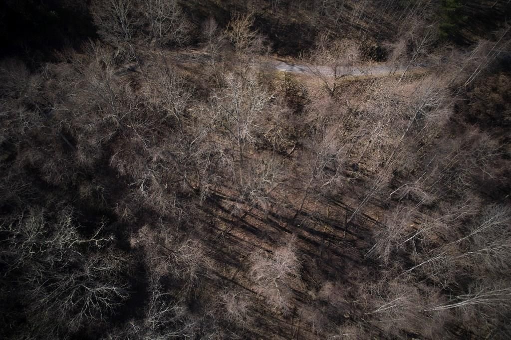 Photo of Lot 6A Freeman Overlook, Almond, NC 28702 (MLS # 26042725)
