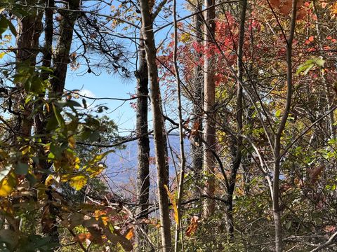 Photo of Lot 4 Piney Grove Rd, Franklin, NC 28734 (MLS # 26042568)