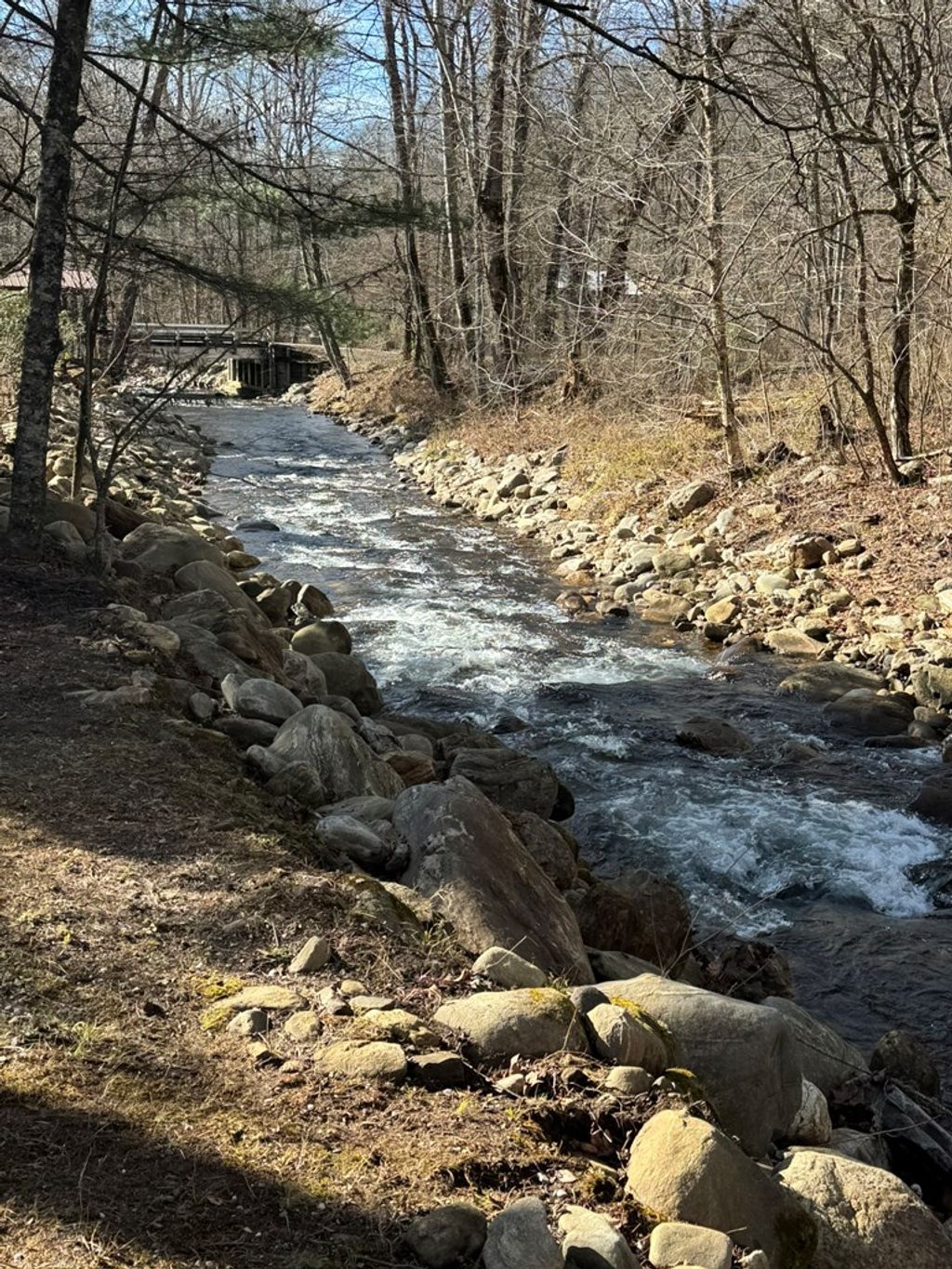 Photo of 80 Larspur Lane, Cullowhee, NC 28723 (MLS # 26042855)