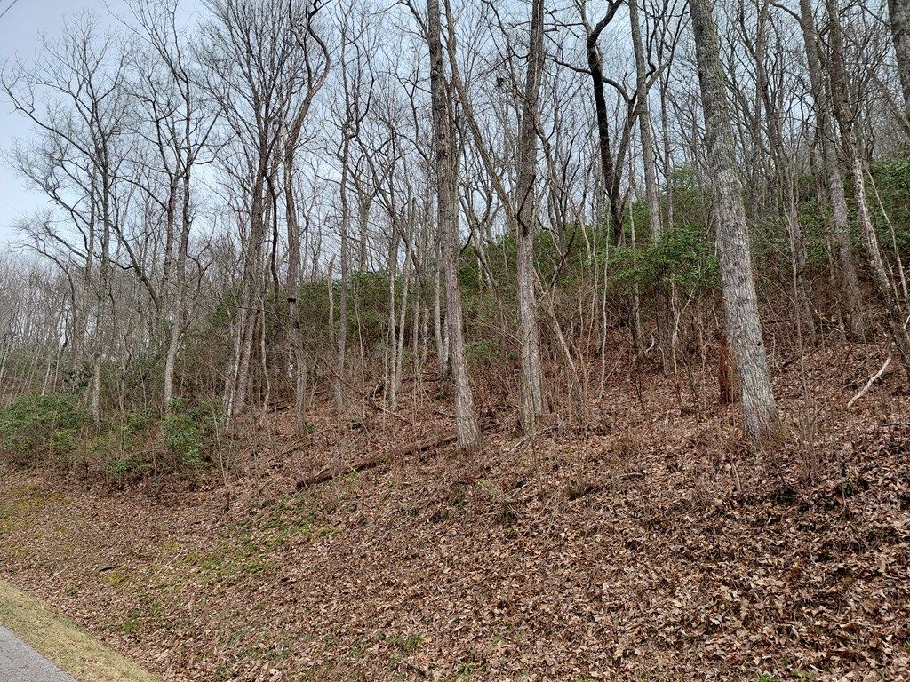 Photo of 11 Houndog Trail, Bryson City, NC 28713 (MLS # 26046719)