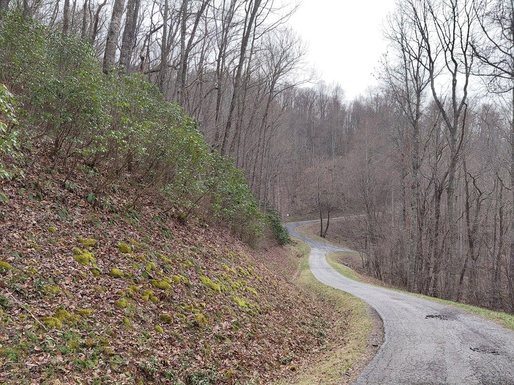 Photo of 11 Houndog Trail, Bryson City, NC 28713 (MLS # 26046719)