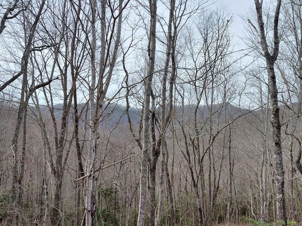 Photo of 11 Houndog Trail, Bryson City, NC 28713 (MLS # 26046719)