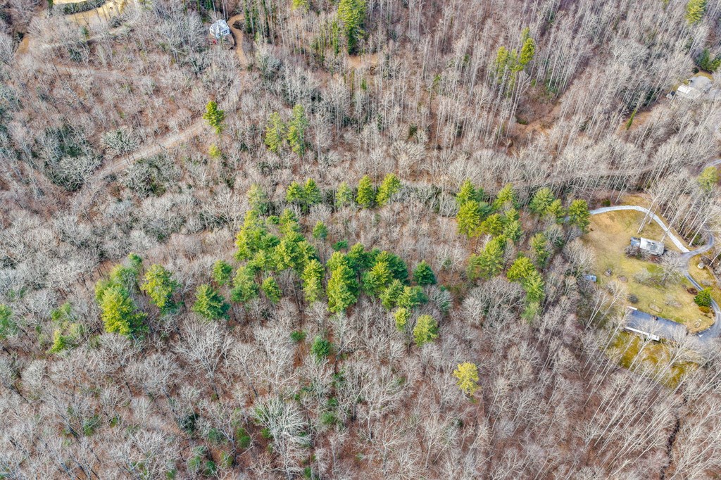 Lot 3 Craig Dr