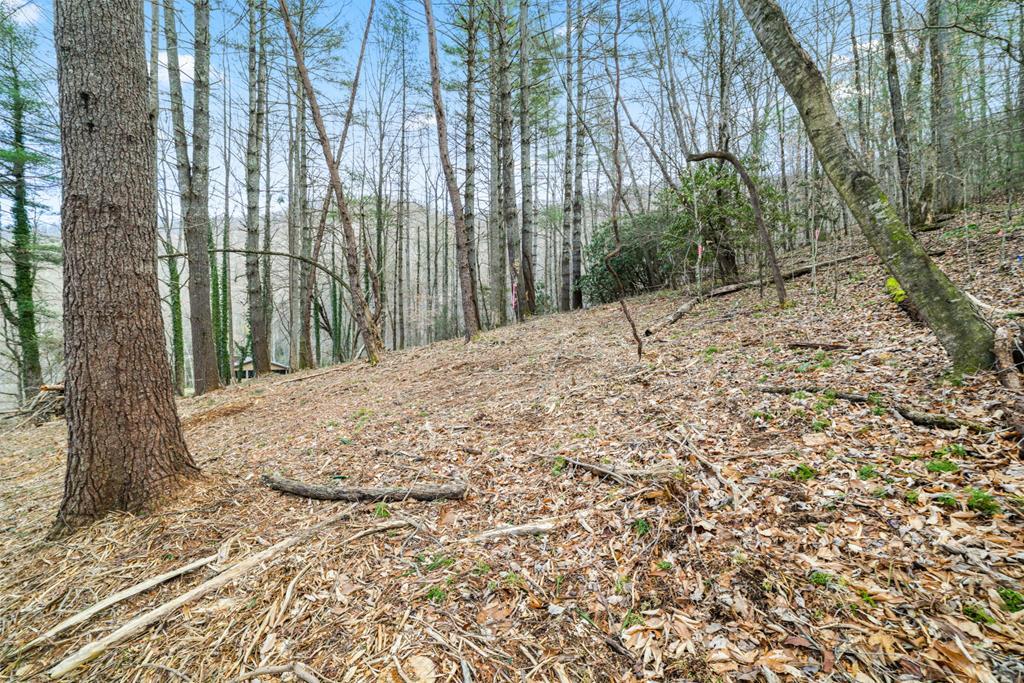 Lot 3 Craig Dr