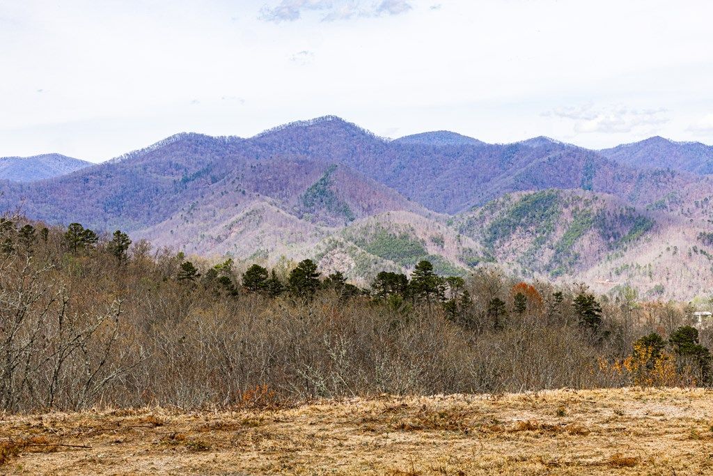 Photo of Lot 2 Butternut Ridge, Bryson City, NC 28713 (MLS # 26041399)