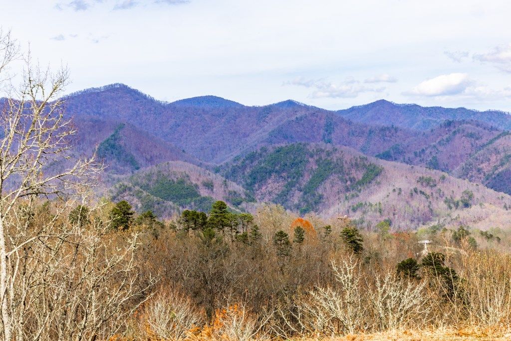 Photo of Lot 2 Butternut Ridge, Bryson City, NC 28713 (MLS # 26041399)